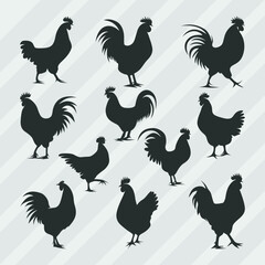 Hen Silhouettes vector bundle, Set of Cock silhouette collection