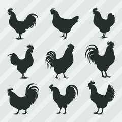 Hen Silhouettes vector bundle, Set of Cock silhouette collection