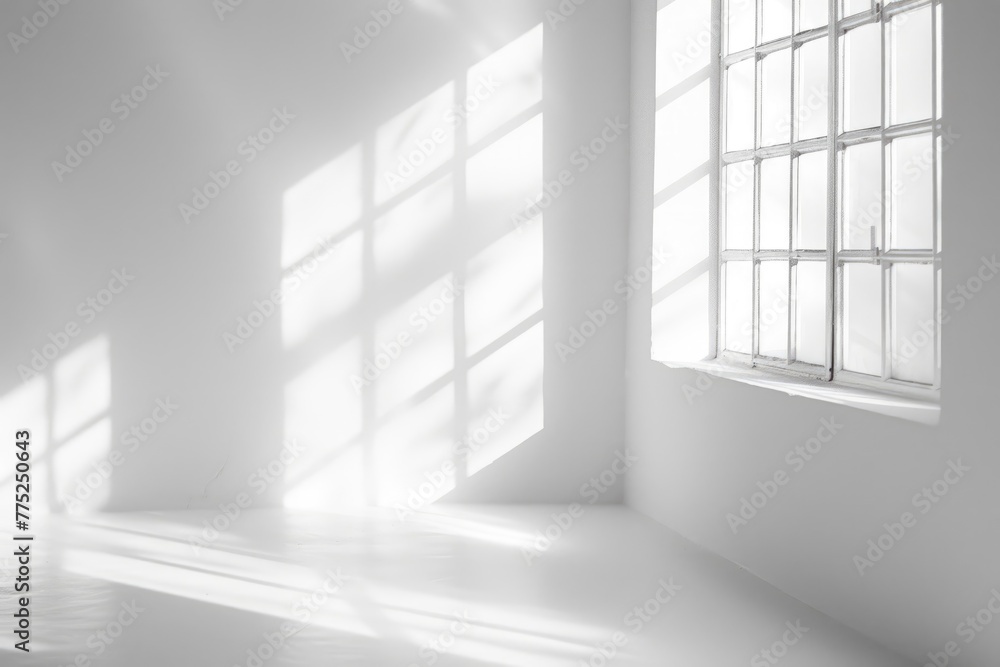 Poster organic shadow and light overlay effect for mockups and photos. abstract diagonal drop shadow and li