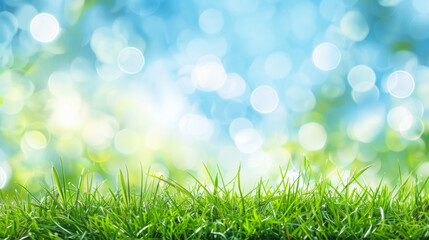 Fototapeta na wymiar World environment day concept: green grass and blue sky abstract background with bokeh