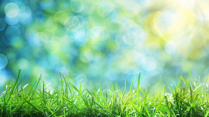 Obraz premium World environment day concept: green grass and blue sky abstract background with bokeh