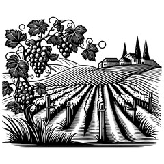 Vineyard Landscape with Grape Clusters PNG