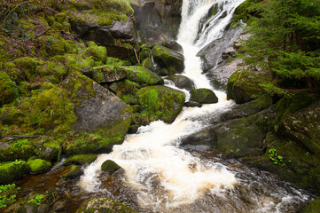 Triberg waterfall in the Black Forest, highest fall in Germany, Gutach river plunges over seven...