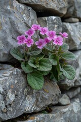 Vibrant Wild Flower Blooming in Stone Wall Crevice Generative AI