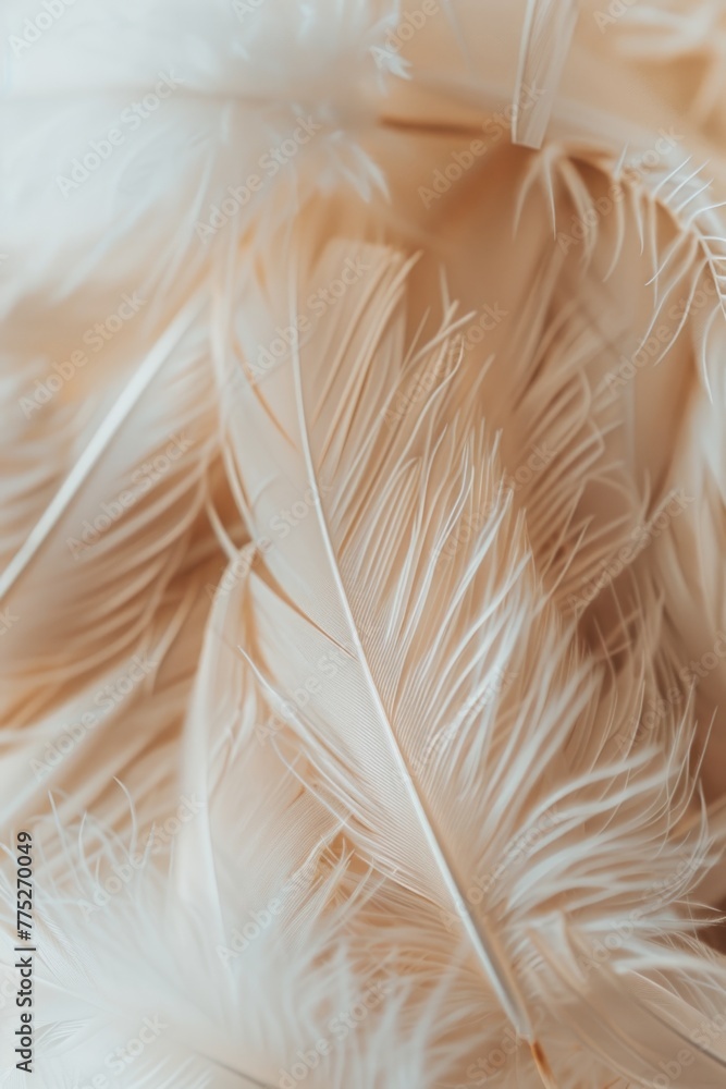Poster a close-up of a bunch of white feathers, suitable for various design projects