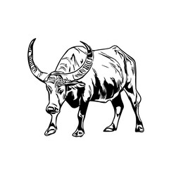sketch of a buffalo with a transparent background