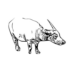 sketch of a buffalo with a transparent background