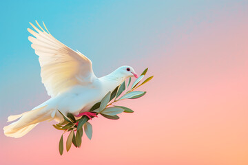 White dove carrying a little olive leaf branch celebrating the World Peace Day celebration