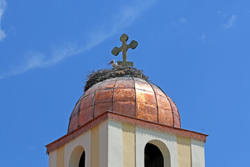 White storks in their nest on a church dome in Bulgaria	