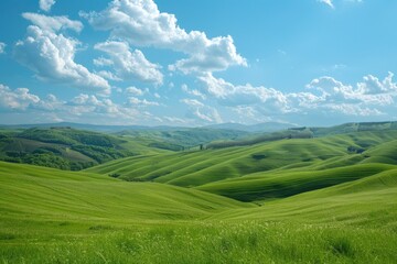 Obraz premium Peaceful green grass field under a clear blue sky. Perfect for nature backgrounds