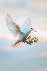 White dove carrying a little olive leaf branch celebrating the World Peace Day celebration