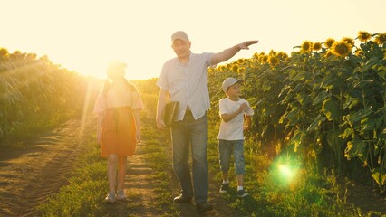 Family father and kids walking at sunflower field pointing on yellow flowers sunset sun light. Man...