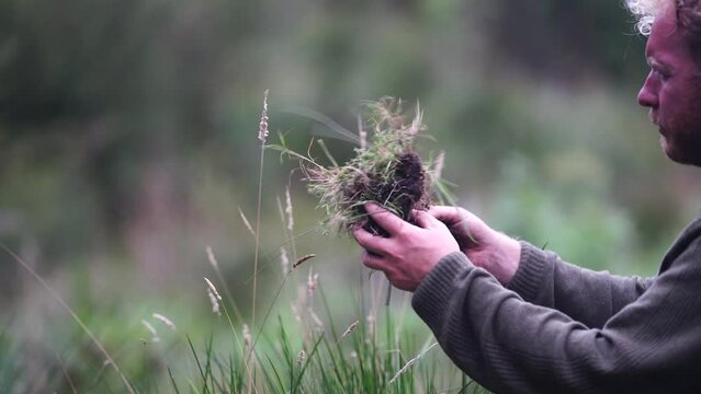 agricultural farmer Holding soil in a hand, feeling compost in a field in Tasmania Australia. soil scientist in australia