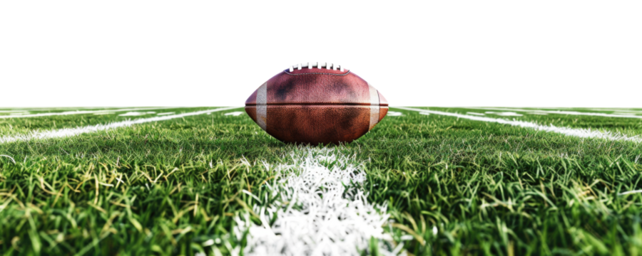 Rugby pitch isolated on transparent background.