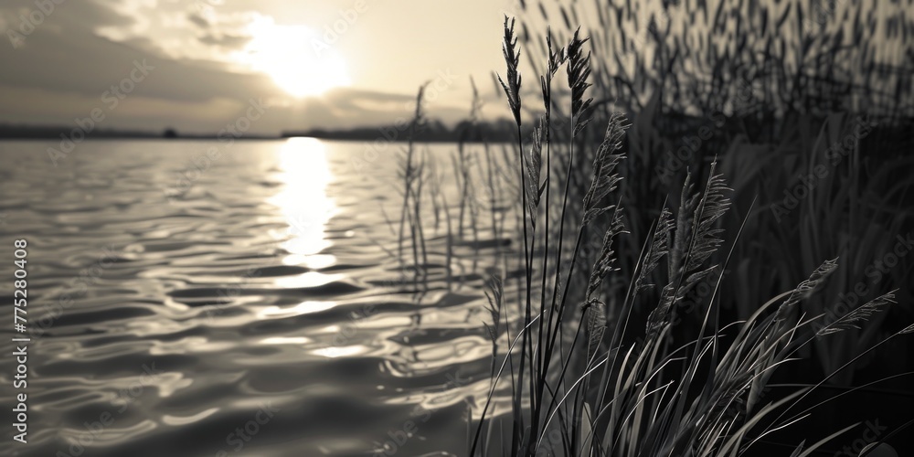 Poster Black and white photo of a serene body of water. Suitable for various design projects