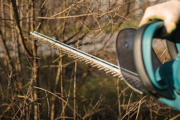 Close-up of a man using an electric brush cutter to cut off the branches of a bush.  - obrazy, fototapety, plakaty
