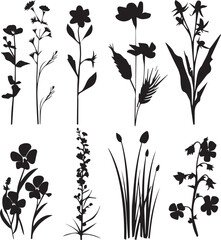 Black silhouettes of plants on white background