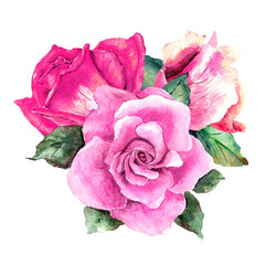 Floral composition of three pink rose buds with leaves