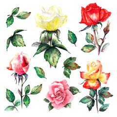 Scenic floral clip art from a set of colorful roses and leaves