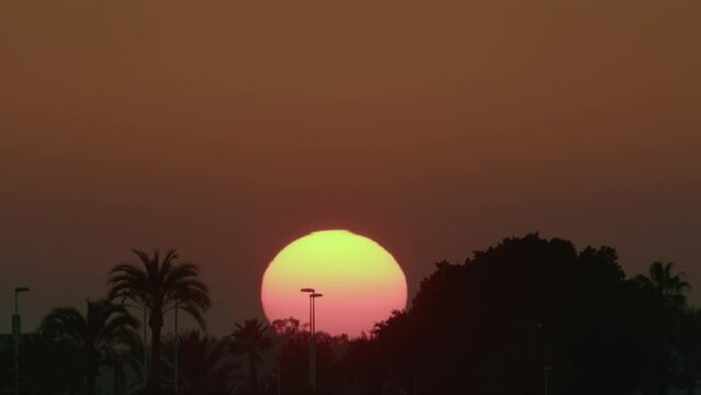 Time-lapse of a large sun setting behind silhouettes of palm trees