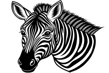 Fototapeta na wymiar head-of-a-friendly-looking-zebra vector illustration 