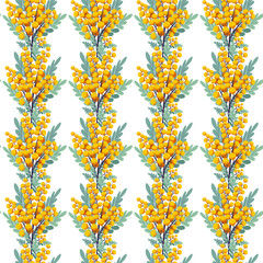 Seamless pattern of mimosa flowers Hand drawn flat vector illustration 
