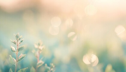 summer and spring template herbal background in gently blue and light green blurred tones summer and spring nature background - obrazy, fototapety, plakaty
