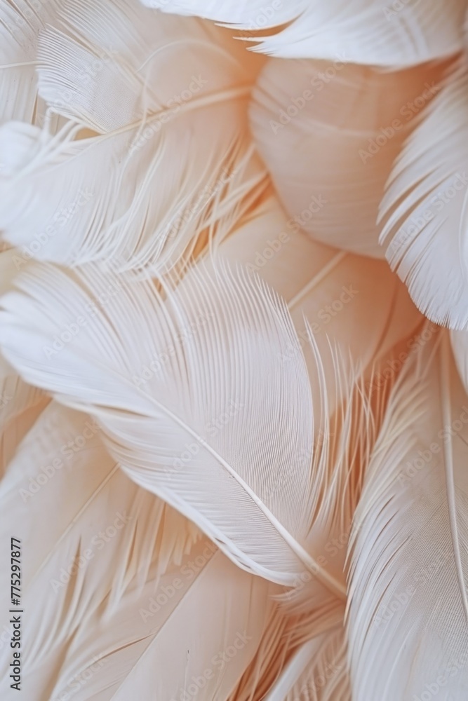 Poster A close up view of a bunch of white feathers, suitable for various design projects