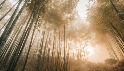 Fototapeten bamboo forest in the fog © joesph