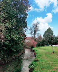 Riachuelo en un paraje de Galicia