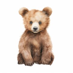 Watercolour Animal Clipart Cute Baby Bear on white background