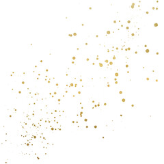 Gilded Confetti