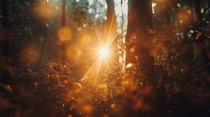 Foto op Plexiglas "Golden Hour in the Forest: Sunlight Filtering Through Trees" © Mahmud