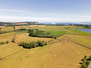 Aerial landscape of rapeseed canola oil field on the Island of Rugen in Mecklenberg Vorpommern