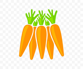 Carrots, vegetable, agriculture, food and meal, graphic design. Harvest, plant, nature, leaf, leaves, nourishment and grocery, vector design and illustration