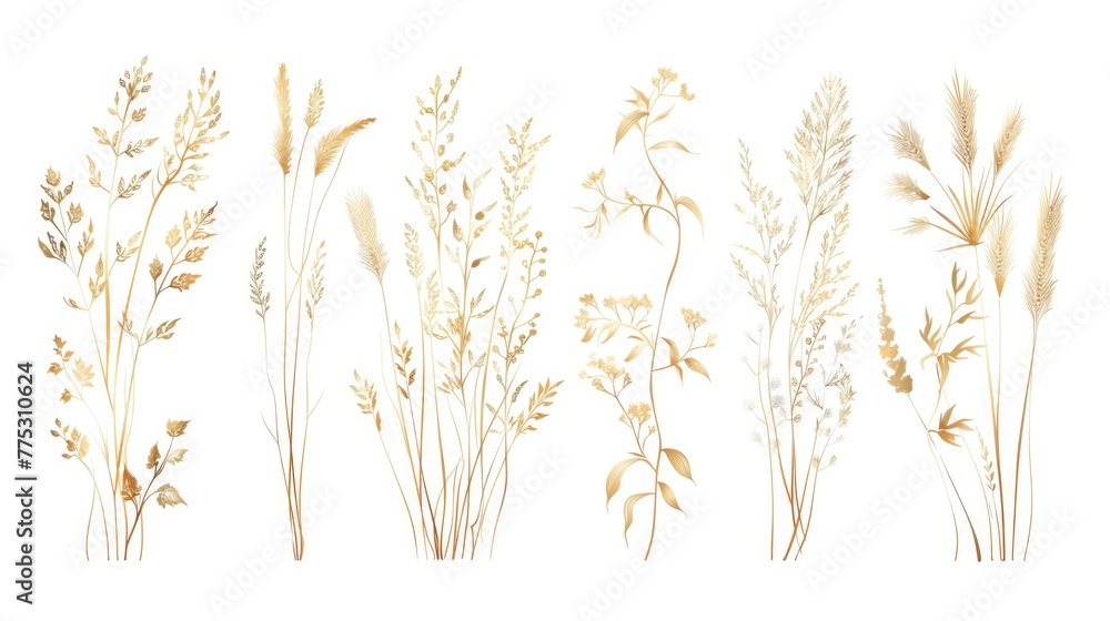 Poster collection of different types of plants on a plain white background. ideal for botanical presentatio