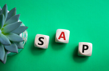 SAP - Systems Applications Products. Wooden cubes with word SAP. Beautiful green background with...