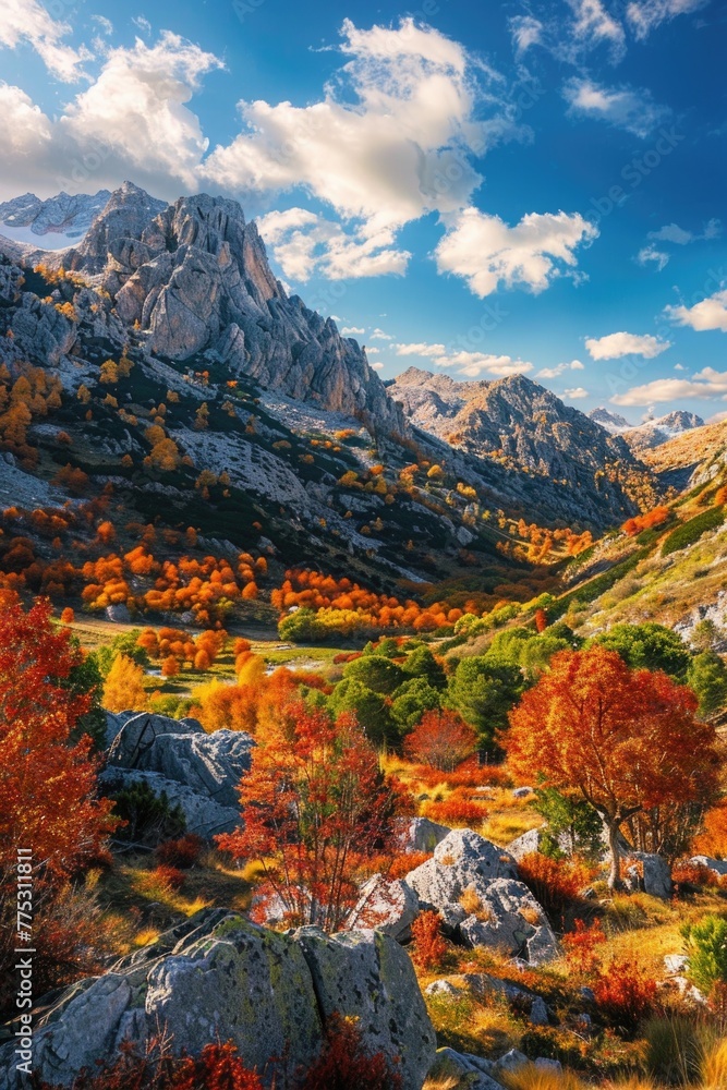 Poster a scenic mountain landscape with trees and rocks in the foreground. ideal for nature and travel conc