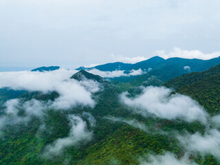 Landscape of tropical rain forest and sea of clouds in Wuzhishan, Hainan, China