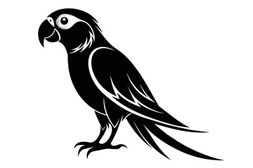 silhouette color image, Parrot bird vector illustration,white background