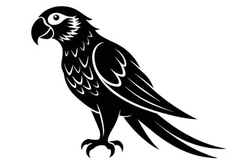 silhouette color image, Parrot bird vector illustration,white background