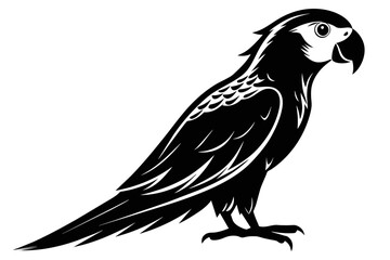 Obraz premium silhouette color image, Parrot bird vector illustration,white background