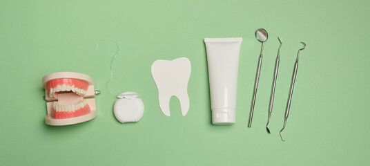 Model of human teeth, tube with toothpaste, dental floss and medical mirror on a green background