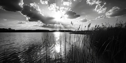 A serene black and white sunset over a calm lake. Perfect for nature and landscape themes