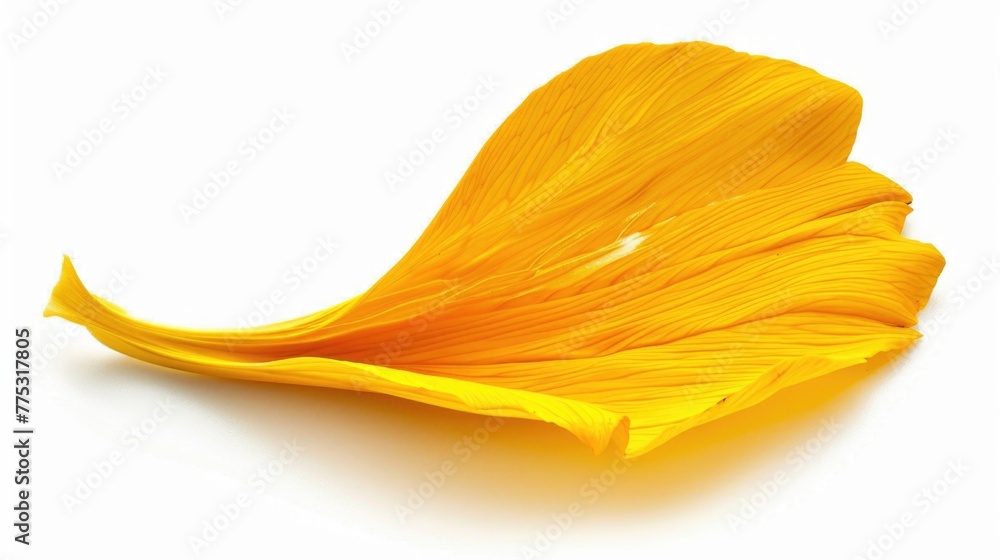 Poster close up of a yellow flower on a white surface, suitable for various design projects