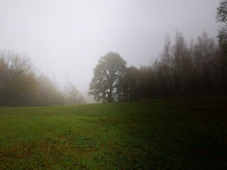 misty morning landscape. Foggy morning on the mountain