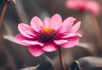 Obraz premium close up of pink flower