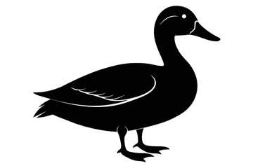 silhouette color image,Duck ,vector illustration,white background