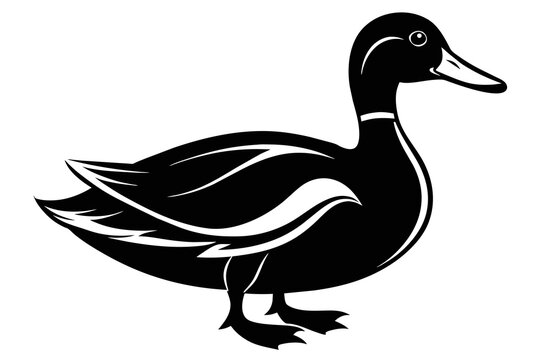 silhouette color image,Duck ,vector illustration,white background
