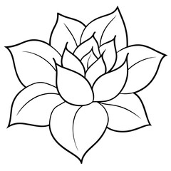 Obraz premium lotus flower isolated